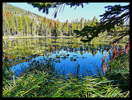 nymph lake